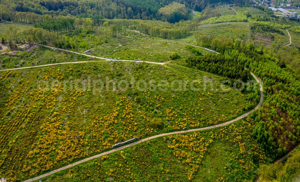 Siegen from above - Renaturation through afforestation of young trees in the forest area in Siegen at Siegerland in the state North Rhine-Westphalia, Germany