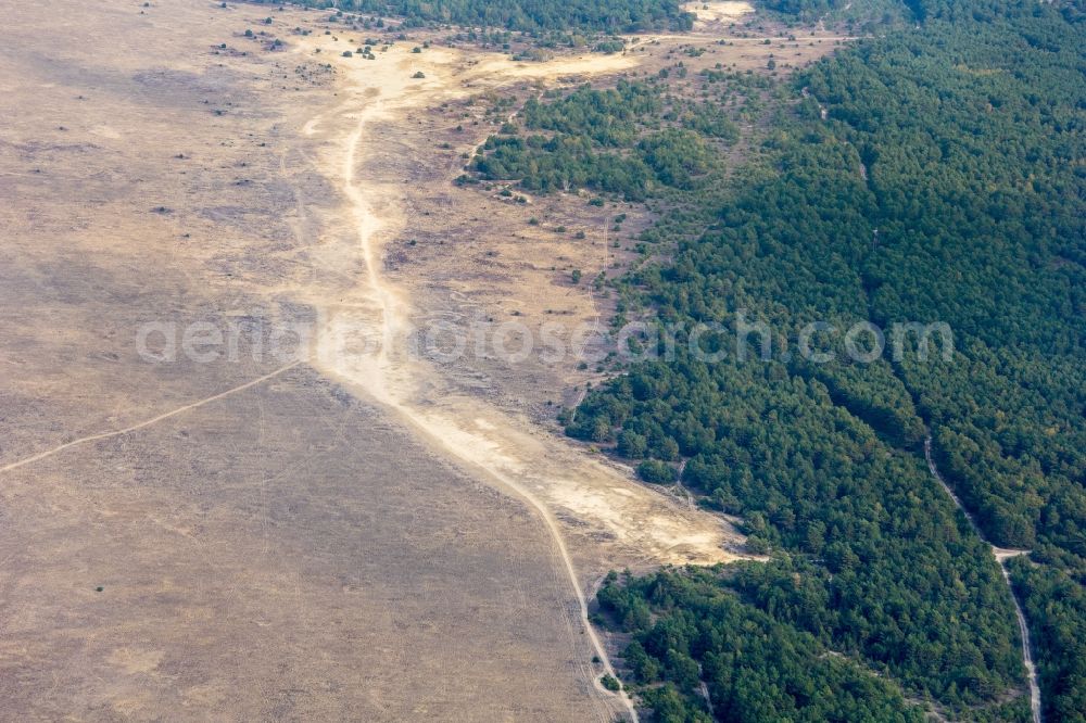 Aerial image Lieberose - Renaturation of the former site of the military training area Lieberoser Wueste in Lieberose in the state Brandenburg, Germany