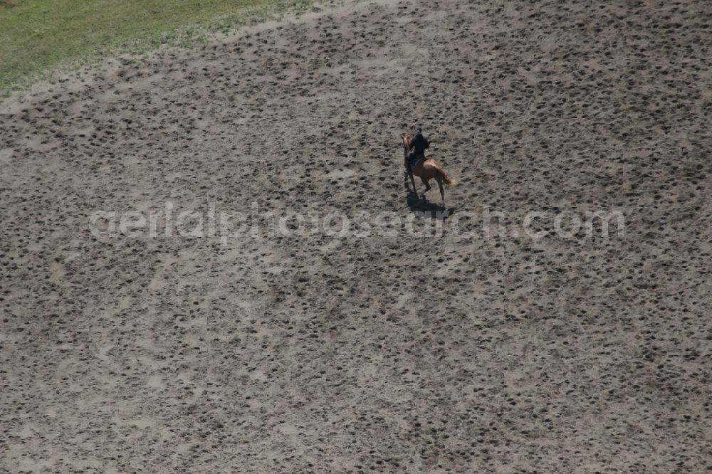 Aerial photograph Horstfelde - Racetrack racecourse - trotting in Horstfelde in the state Brandenburg