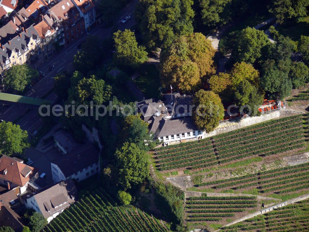 Freiburg im Breisgau from the bird's eye view: Restaurant Greiffenegg Schlössle am Schloßbergring in Freiburg, Baden-Württemberg. The restaurant Greiffenegg Schlössle at the street Schlossbergring in Freiburg, Baden-Wuerttemberg.