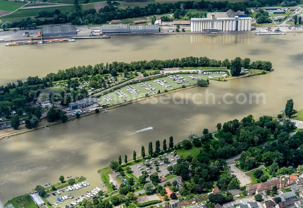 Aerial photograph Breisach am Rhein - Island on the banks of the river course in Breisach am Rhein in the state Baden-Wuerttemberg