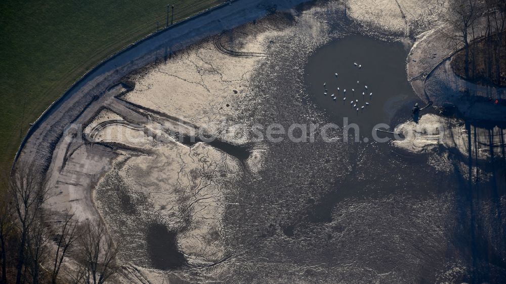 Bonn from above - Rheinaue in Bonn in the state North Rhine-Westphalia, Germany. Water is drained for sanitation and removal of sludge and algae