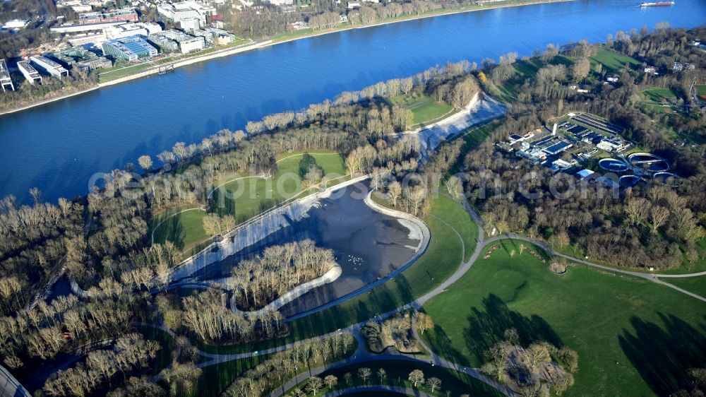 Aerial image Bonn - Rheinaue in Bonn in the state North Rhine-Westphalia, Germany. Water is drained for sanitation and removal of sludge and algae