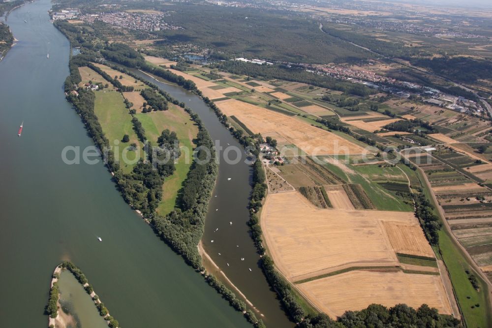 Aerial image Heidesheim am Rhein - Rhine island Koenigsklinger Aue near Heidenheim on the Rhine in the state Rhineland-Palatinate