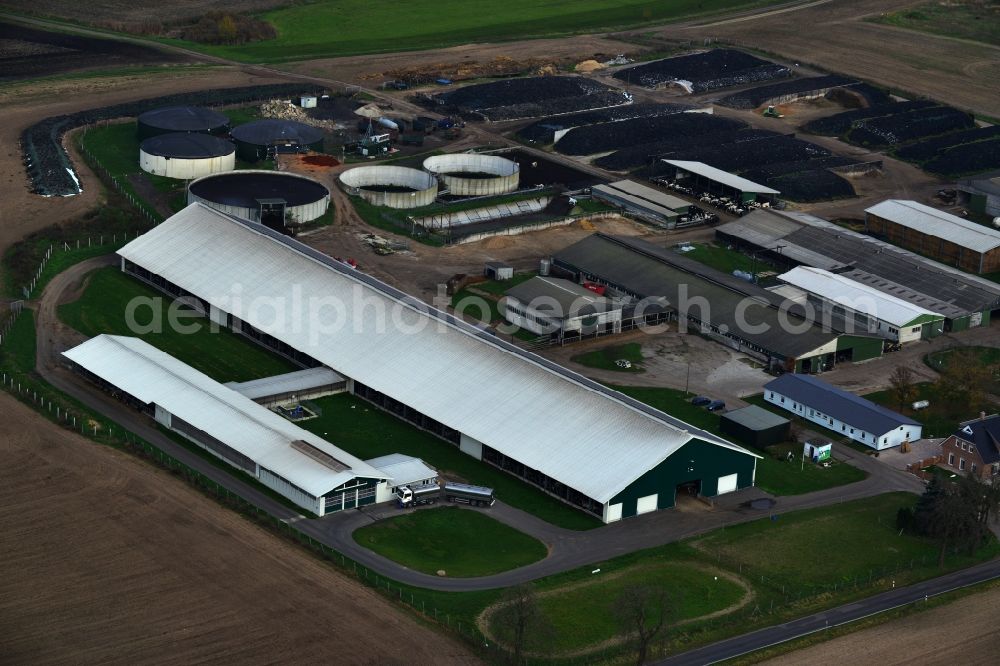 Aerial photograph Neuensund Strasburg (Uckermark) - Cattle breeding stables in the district Neuensund in Strasburg (Uckermark) in the state of Mecklenburg - Western Pomerania