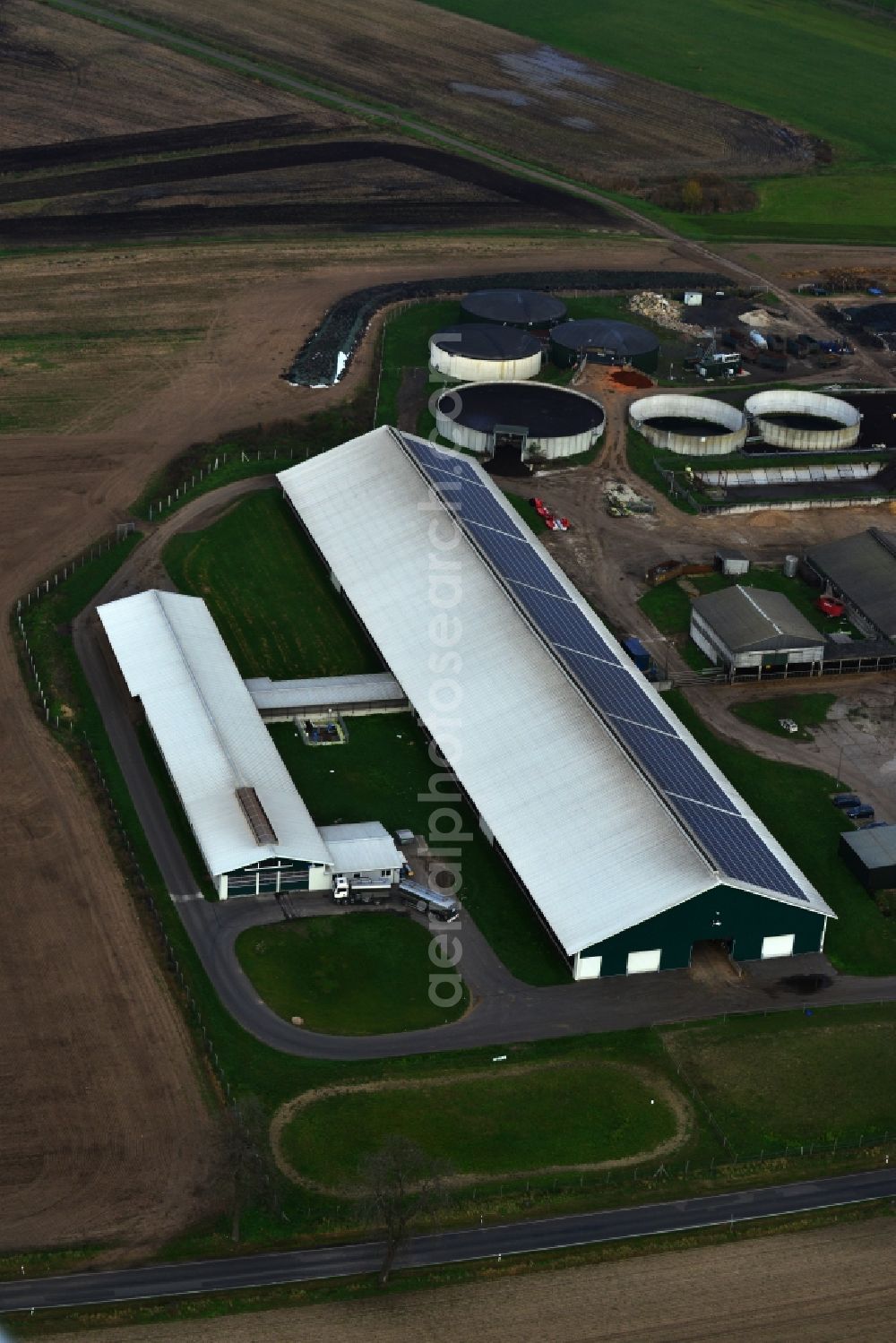 Neuensund Strasburg (Uckermark) from the bird's eye view: Cattle breeding stables in the district Neuensund in Strasburg (Uckermark) in the state of Mecklenburg - Western Pomerania