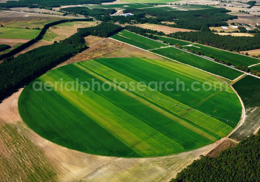 Oehna from above - Oehna 09/25/2003 ring irrigation on fields in Brandenburg Oehna. The circular field-scale structure allows a smooth and efficient watering of plants and crops