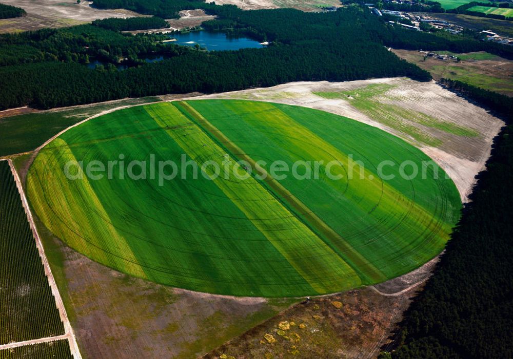 Oehna from the bird's eye view: Oehna 09/25/2003 ring irrigation on fields in Brandenburg Oehna. The circular field-scale structure allows a smooth and efficient watering of plants and crops