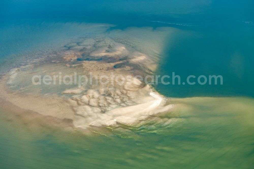 Aerial photograph Nigehörn - Seals in the Wadden Sea on sandbanks in front of the North Sea coast of Cuxhaven, on the outer reef in the sunset in the state Hamburg, Germany