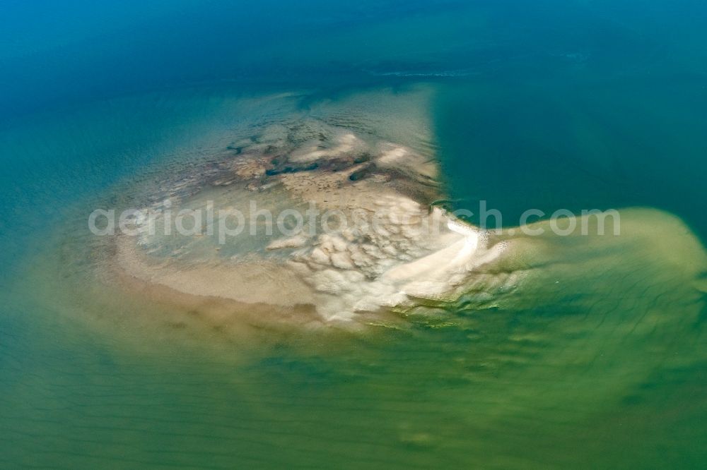 Nigehörn from above - Seals in the Wadden Sea on sandbanks in front of the North Sea coast of Cuxhaven, on the outer reef in the sunset in the state Hamburg, Germany