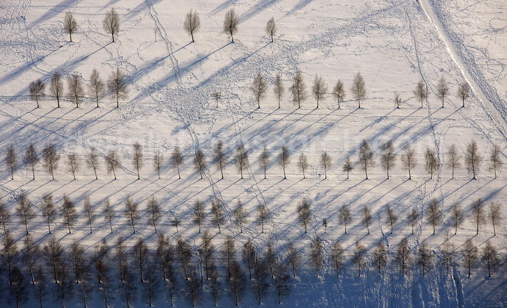 Bottrop from above - Blick auf den winterlich, schneebedeckten Rodelberg des Prosper-Park in Bottrop, Nordrhein-Westfalen. Der Berg ist Teil des Parks, der verfügt über 11 Hektar Grün- und Freiraum. View of the toboggan hill of the Prosper Park in Bottrop, North Rhine-Westphalia. The park has 11 hectare of green and open space.