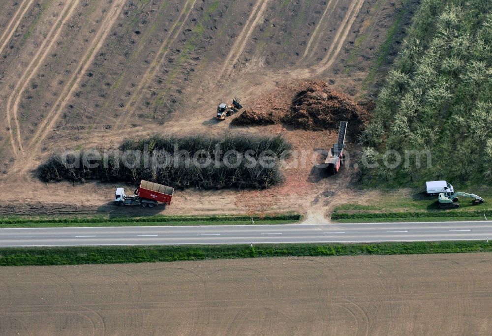 Aerial image Witterda - Deforestation and waste of fruit trees on a field at Witterda in Thuringia