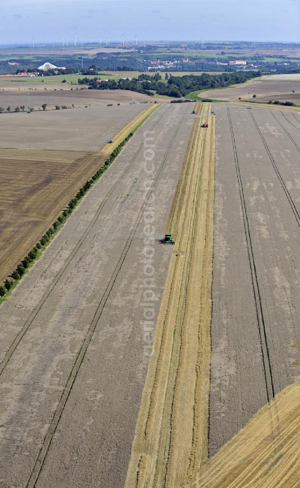 Beesenstedt from the bird's eye view: Mähdrescher beim Einsatz zur Herbsternte. Roggenernte in der Nähe von Beesenstedt. Harvest of rye near Beesenstedt.