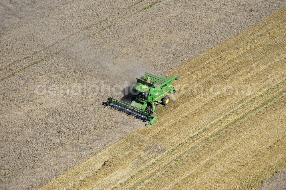 Beesenstedt from the bird's eye view: Mähdrescher beim Einsatz zur Herbsternte. Roggenernte in der Nähe von Beesenstedt. Harvest of rye near Beesenstedt.