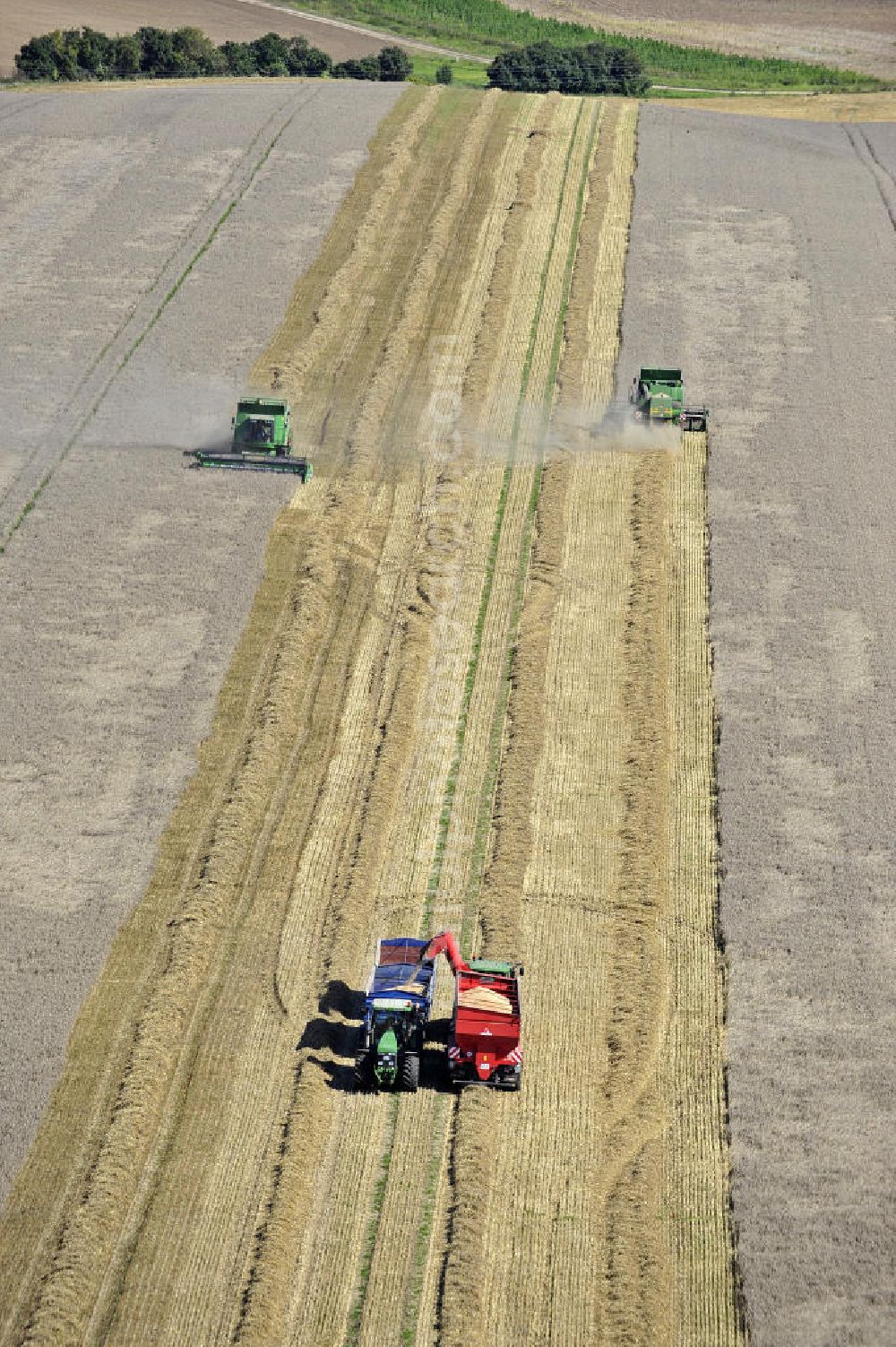 Aerial image Beesenstedt - Mähdrescher beim Einsatz zur Herbsternte. Roggenernte in der Nähe von Beesenstedt. Harvest of rye near Beesenstedt.