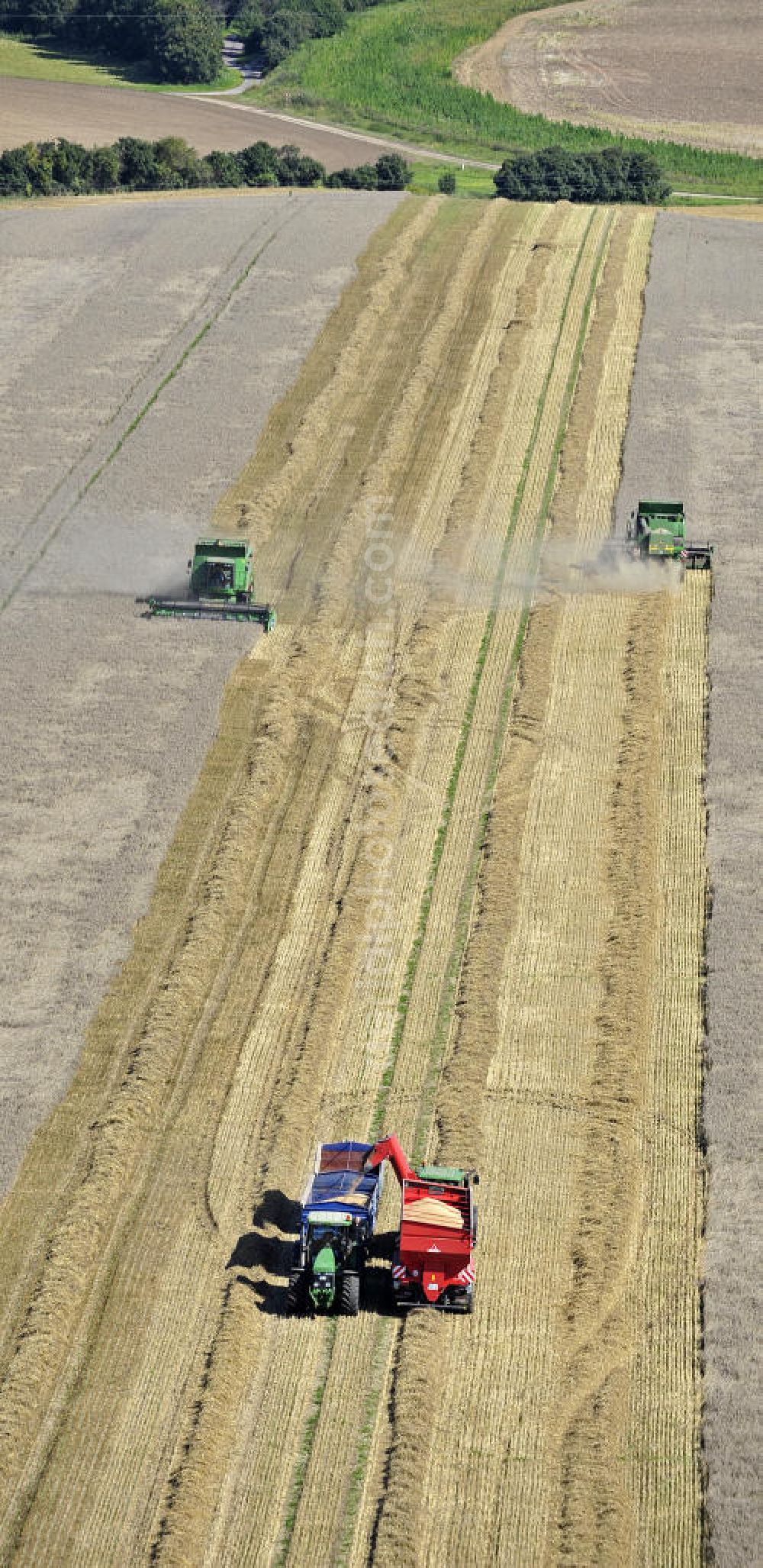 Aerial photograph Beesenstedt - Mähdrescher beim Einsatz zur Herbsternte. Roggenernte in der Nähe von Beesenstedt. Harvest of rye near Beesenstedt.