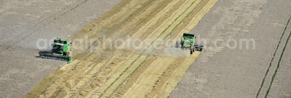 Beesenstedt from the bird's eye view: Mähdrescher beim Einsatz zur Herbsternte. Roggenernte in der Nähe von Beesenstedt. Harvest of rye near Beesenstedt.