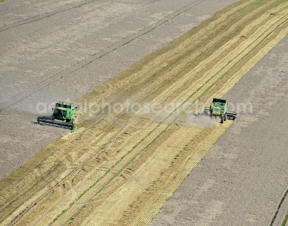 Aerial image Beesenstedt - Mähdrescher beim Einsatz zur Herbsternte. Roggenernte in der Nähe von Beesenstedt. Harvest of rye near Beesenstedt.