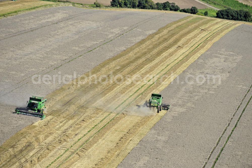 Aerial photograph Beesenstedt - Mähdrescher beim Einsatz zur Herbsternte. Roggenernte in der Nähe von Beesenstedt. Harvest of rye near Beesenstedt.