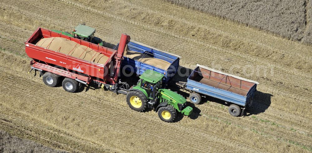 Beesenstedt from the bird's eye view: Mähdrescher beim Einsatz zur Herbsternte. Roggenernte in der Nähe von Beesenstedt. Harvest of rye near Beesenstedt.