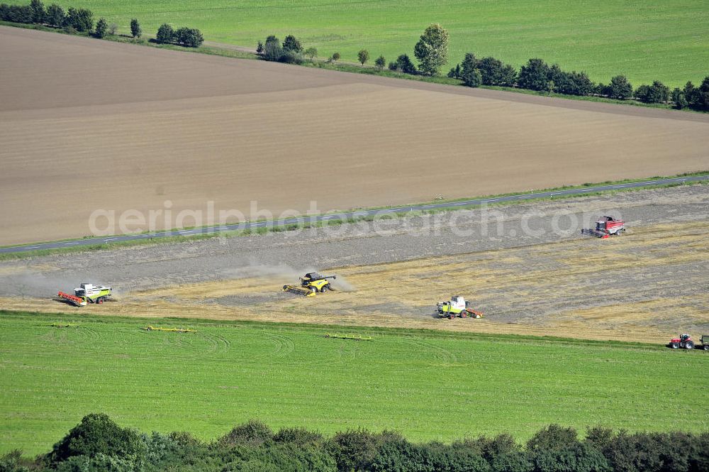 Aerial image Beesenstedt - Mähdrescher- Einsatz zur hebstlichen Roggenernte auf einem Feld in der Nähe von Beesenstedt. Harvest of rye near Beesenstedt.