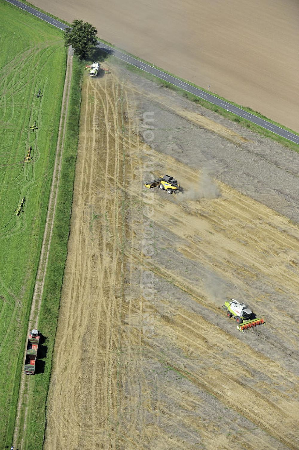 Aerial image Beesenstedt - Mähdrescher- Einsatz zur hebstlichen Roggenernte auf einem Feld in der Nähe von Beesenstedt. Harvest of rye near Beesenstedt.