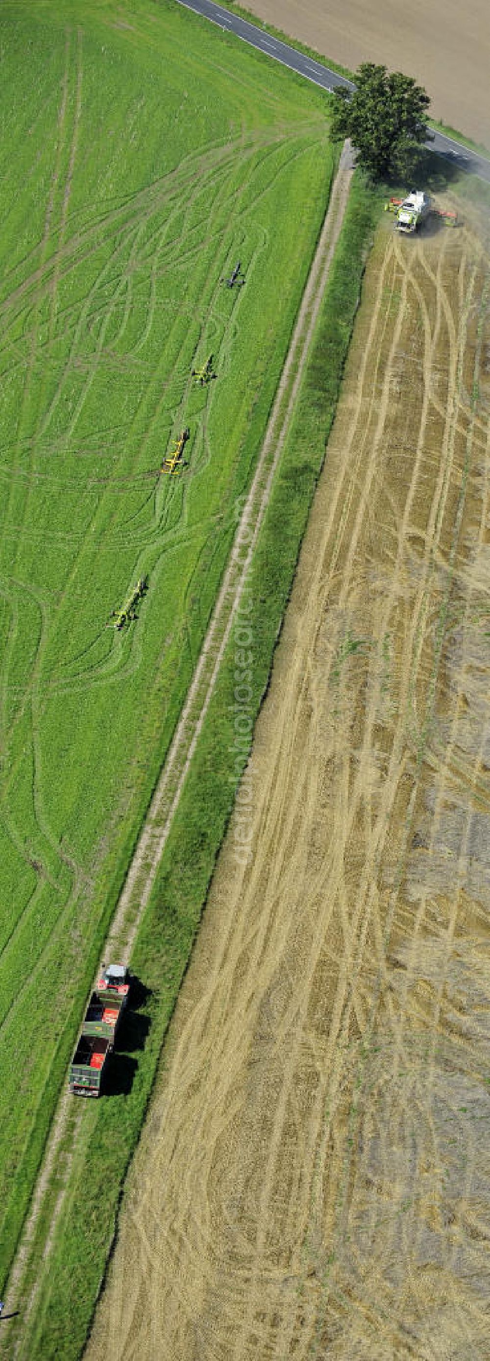 Beesenstedt from above - Mähdrescher- Einsatz zur hebstlichen Roggenernte auf einem Feld in der Nähe von Beesenstedt. Harvest of rye near Beesenstedt.