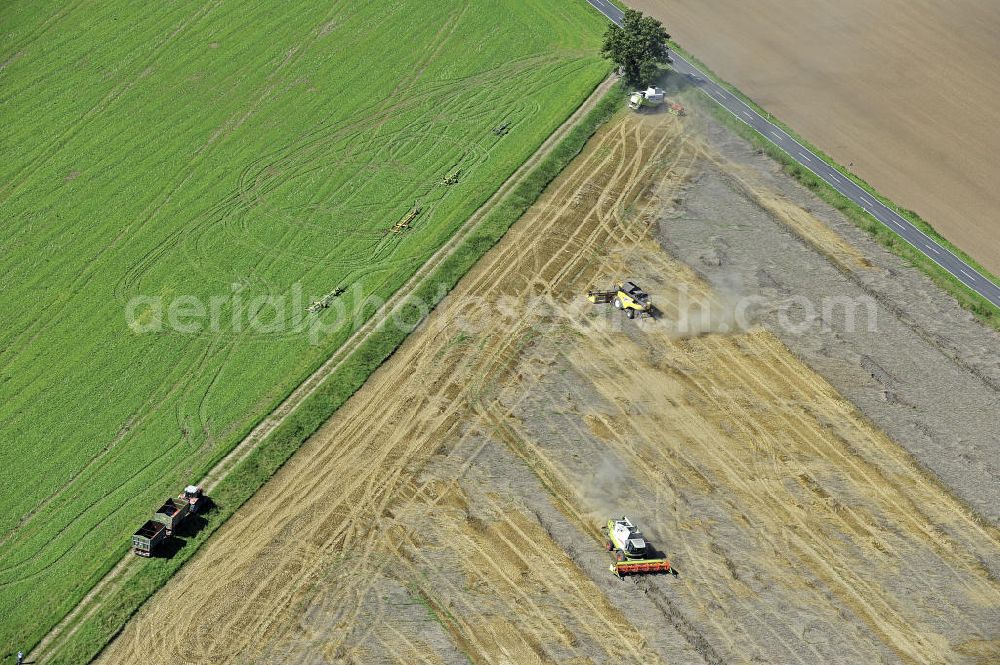 Aerial image Beesenstedt - Mähdrescher- Einsatz zur hebstlichen Roggenernte auf einem Feld in der Nähe von Beesenstedt. Harvest of rye near Beesenstedt.