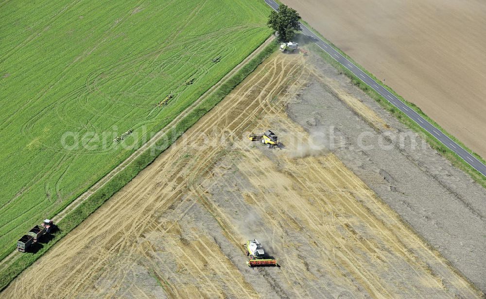 Aerial photograph Beesenstedt - Mähdrescher- Einsatz zur hebstlichen Roggenernte auf einem Feld in der Nähe von Beesenstedt. Harvest of rye near Beesenstedt.