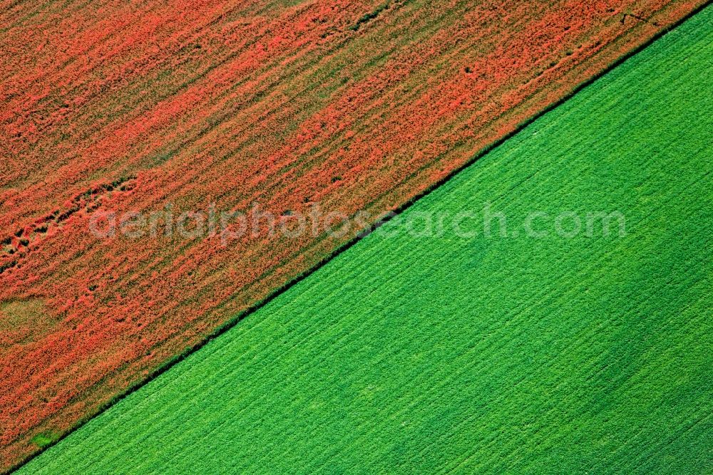 Aerial image Landshut - Red green poppy field on the outskirts of Landshut in Bavaria