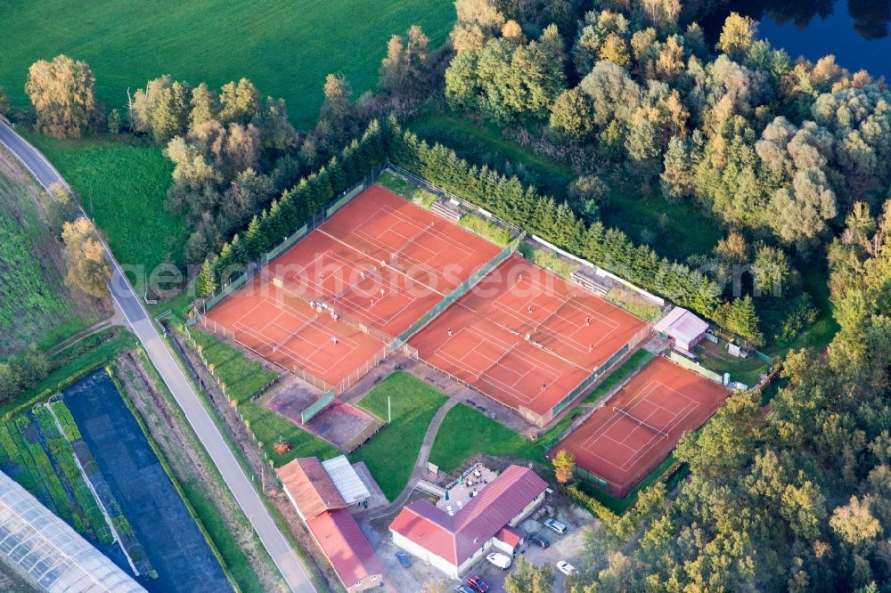 Aerial image Steinfeld - Tennis court sports field of TC Bienwald in Steinfeld in the state Rhineland-Palatinate, Germany