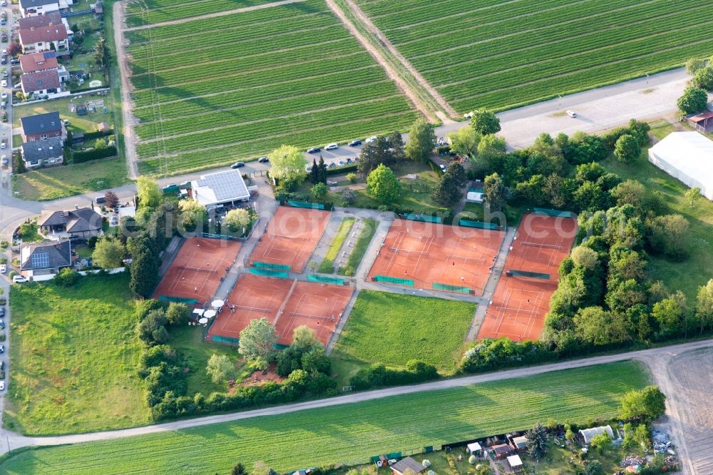 Lampertheim from above - Tennis court sports field of Tennisclub Rot-Weiss in Lampertheim in the state Hesse, Germany