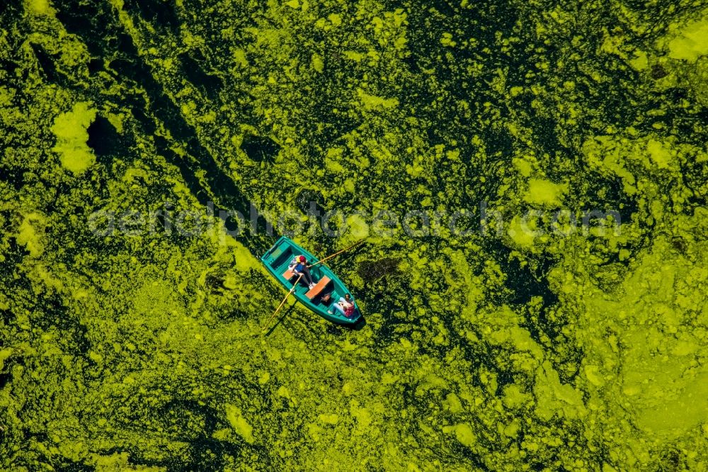 Aerial photograph Witten - Sport Boat in motion on the water surface auf dem Oelbach Lake in Witten in the state North Rhine-Westphalia