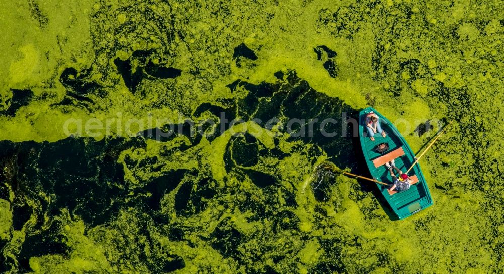 Witten from the bird's eye view: Sport Boat in motion on the water surface auf dem Oelbach Lake in Witten in the state North Rhine-Westphalia