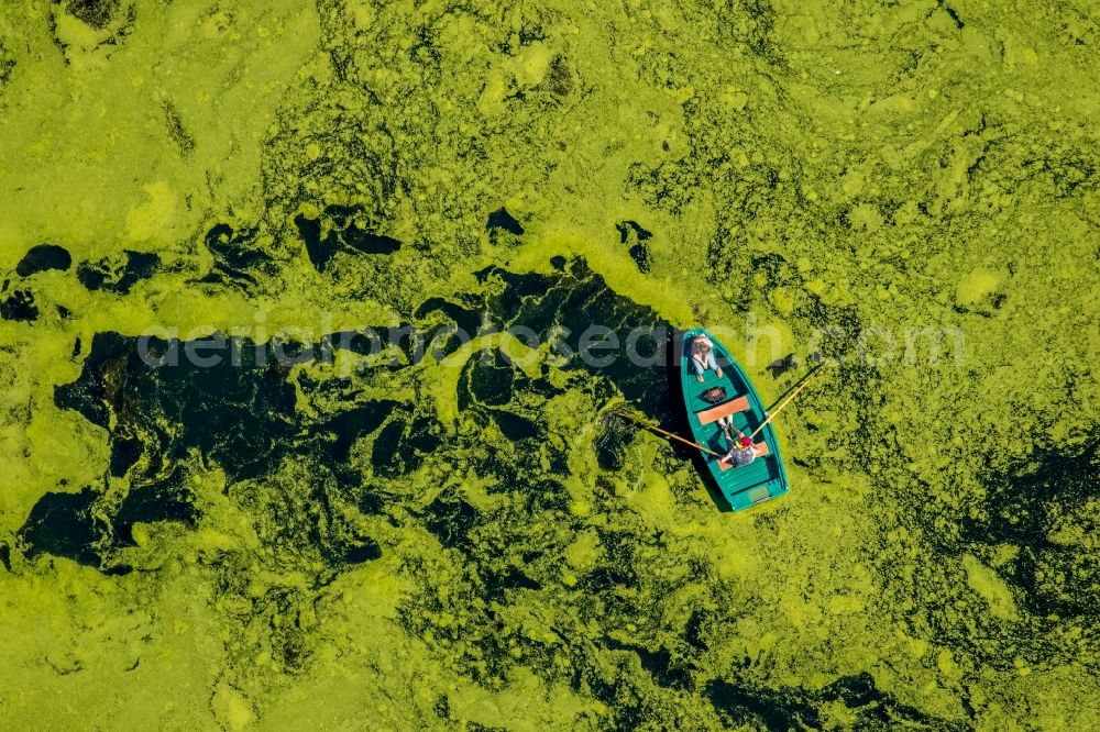 Aerial image Witten - Sport Boat in motion on the water surface auf dem Oelbach Lake in Witten in the state North Rhine-Westphalia