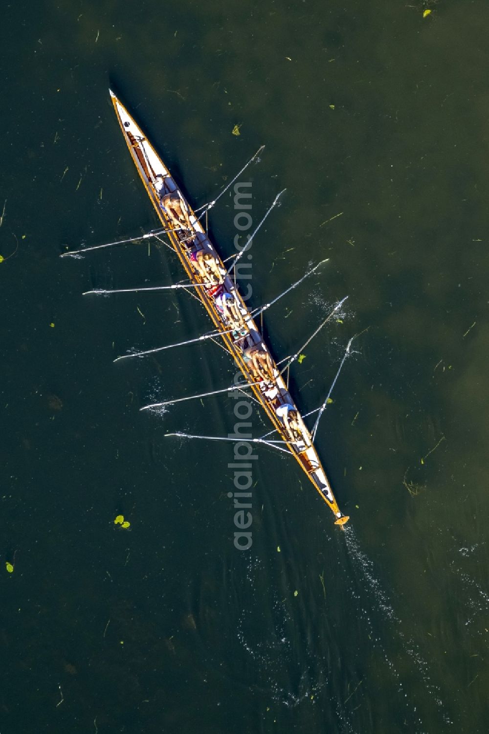 Aerial image Witten - Rowboat five coxless on the Kemnade - Reservoir at Witten in the state of North Rhine-Westphalia