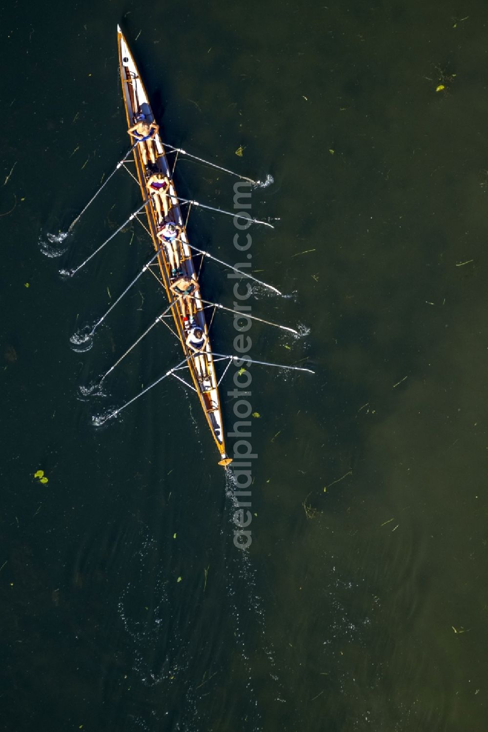 Aerial photograph Witten - Rowboat five coxless on the Kemnade - Reservoir at Witten in the state of North Rhine-Westphalia