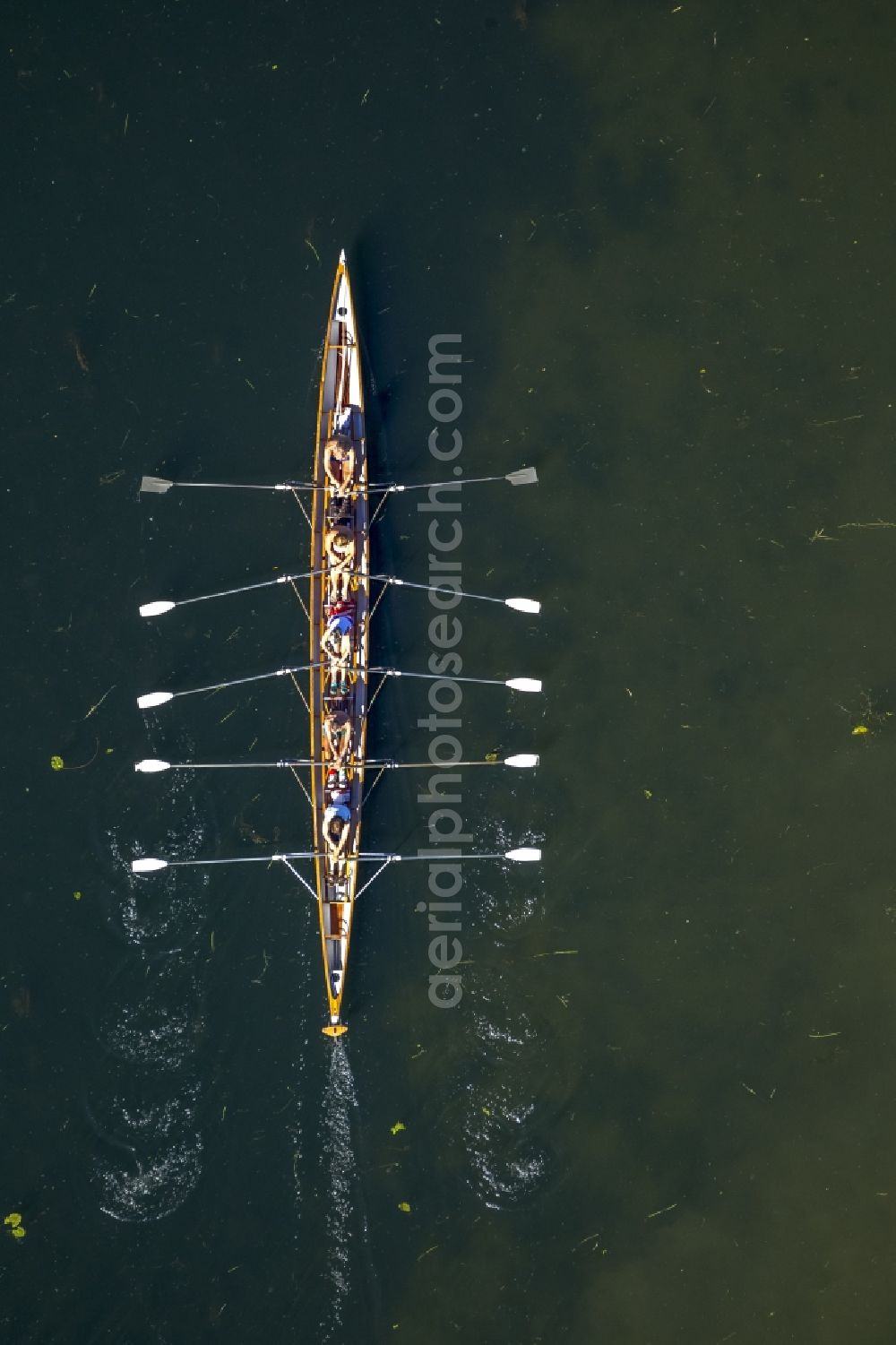 Witten from the bird's eye view: Rowboat five coxless on the Kemnade - Reservoir at Witten in the state of North Rhine-Westphalia