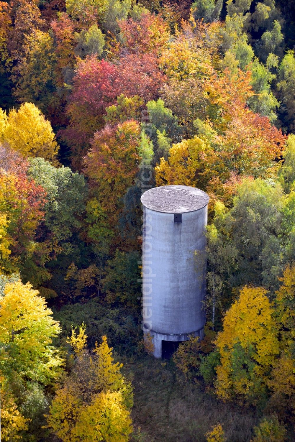 Liebenburg from the bird's eye view: View of an old storage made of concrete in an autumn forest in the Lower Saxon town Liebenburg