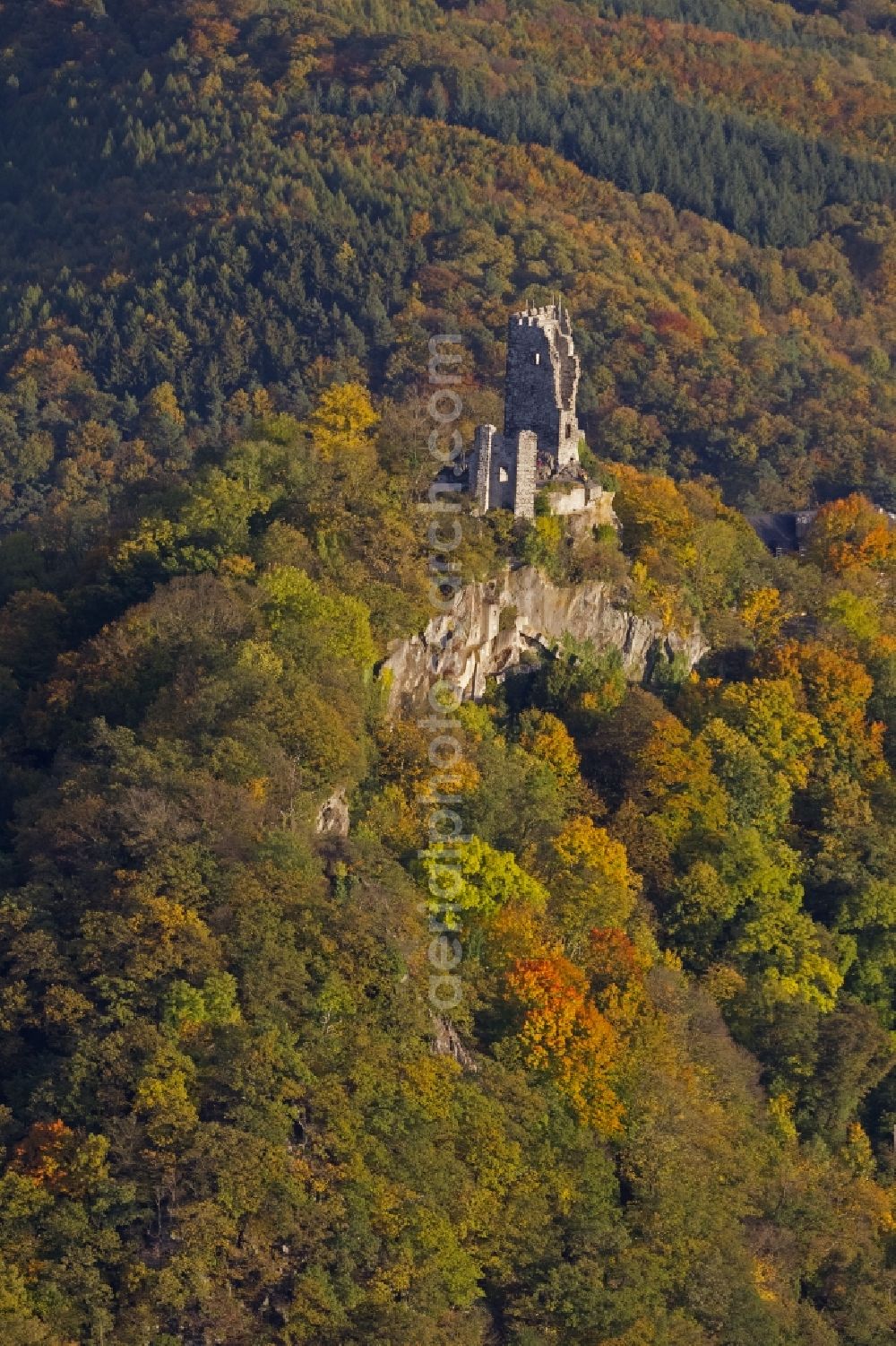 Königswinter from above - Autumn view of the Drachenfels castle ruins in the autumn-colored forest at the bank of the Rhine in Königswinter in the federal state North Rhine-Westphalia. After major rock crashes the hilltop was secured by steel anchors and reinforcing steel. Meanwhile, the ruin was renovated