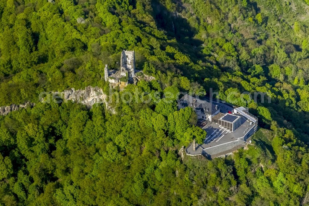 Königswinter from above - View of the Drachenfels castle ruins in the autumn-colored forest at the bank of the Rhine in Königswinter in the federal state North Rhine-Westphalia. After major rock crashes the hilltop was secured by steel anchors and reinforcing steel. Meanwhile, the ruin was renovated