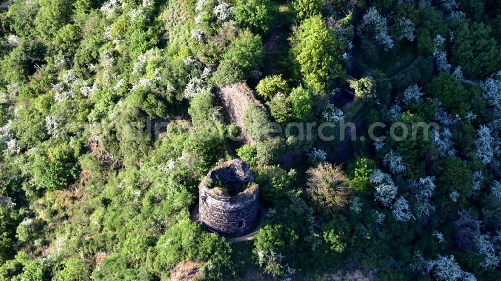 Aerial photograph Hammerstein - Ruins of Hammerstein Castle in Hammerstein in the state Rhineland-Palatinate, Germany