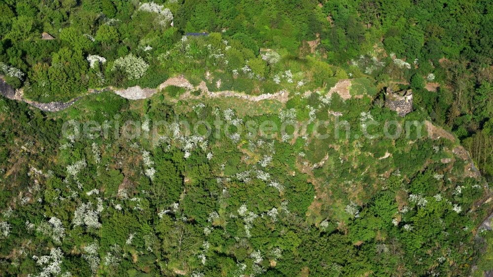 Hammerstein from above - Ruins of Hammerstein Castle in Hammerstein in the state Rhineland-Palatinate, Germany