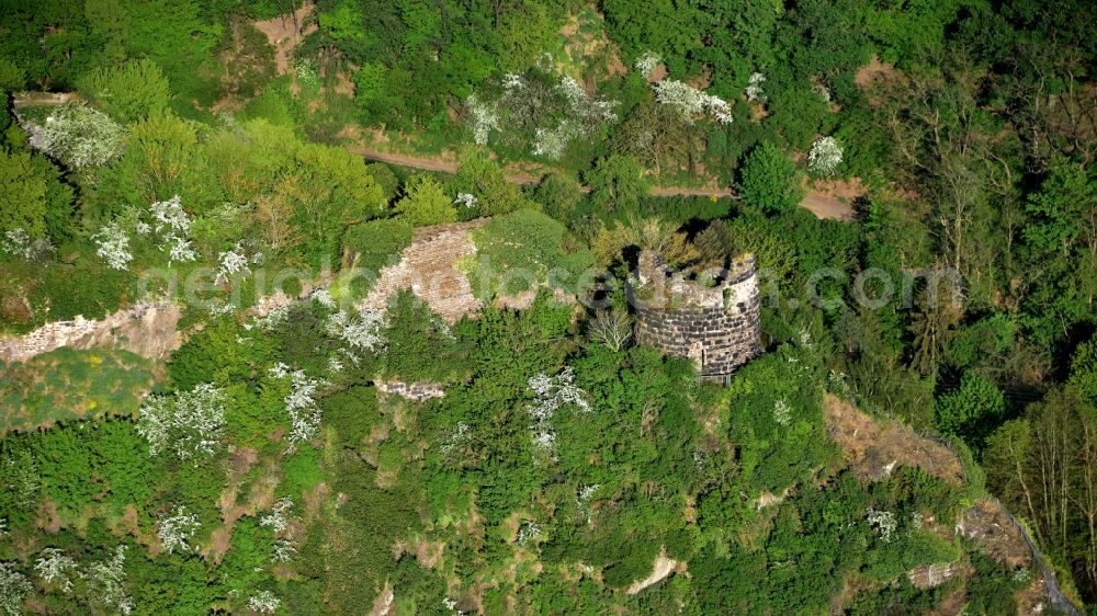 Hammerstein from the bird's eye view: Ruins of Hammerstein Castle in Hammerstein in the state Rhineland-Palatinate, Germany