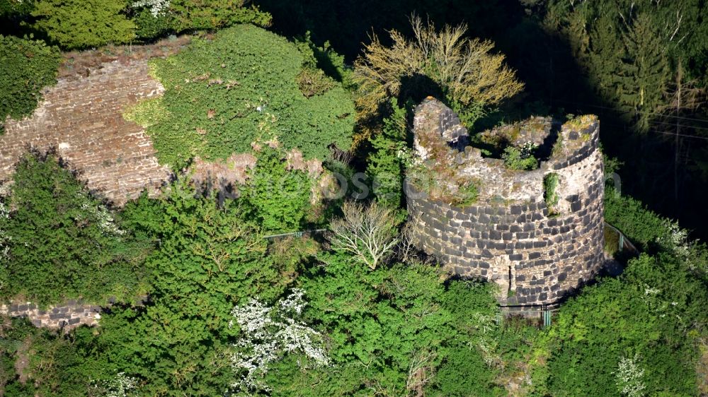 Aerial image Hammerstein - Ruins of Hammerstein Castle in Hammerstein in the state Rhineland-Palatinate, Germany