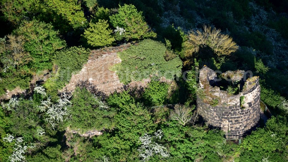 Aerial photograph Hammerstein - Ruins of Hammerstein Castle in Hammerstein in the state Rhineland-Palatinate, Germany