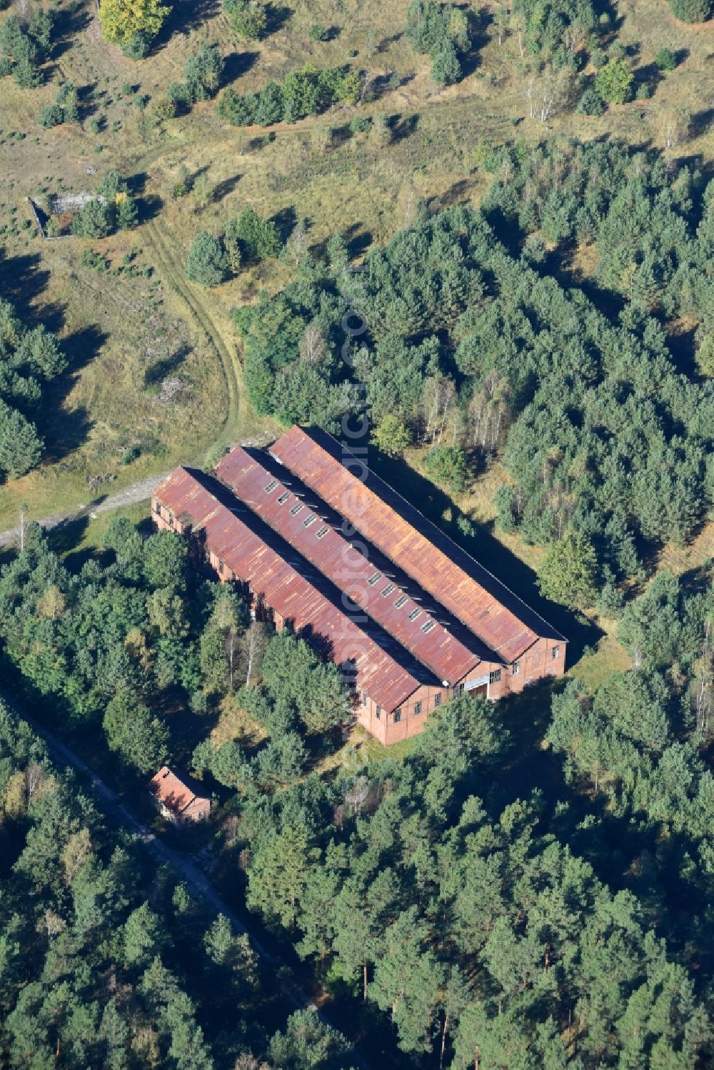 Aerial image Fürstenwalde/Spree - Ruins of the former factory - building in a forest area on the B168 in Fuerstenwalde/Spree in the state Brandenburg, Germany