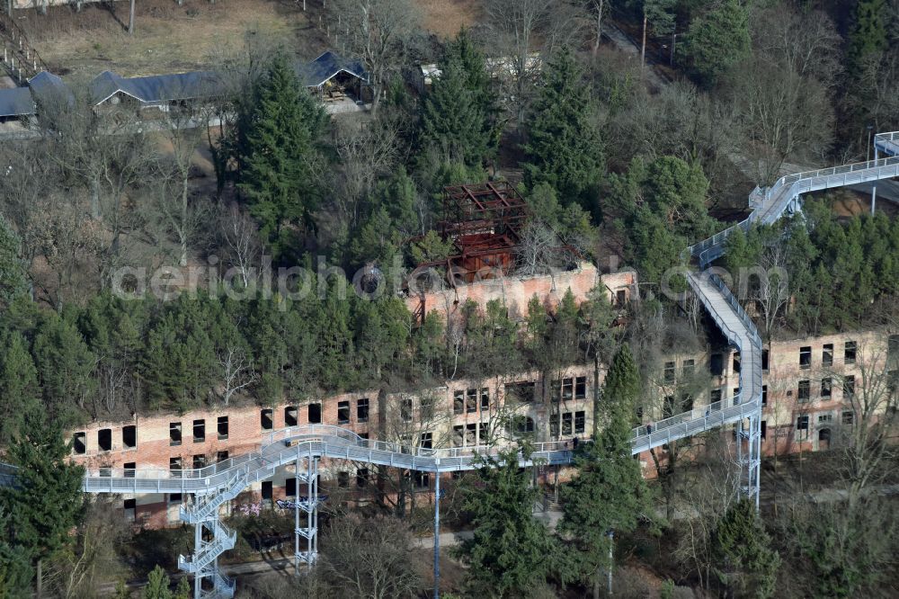 Aerial photograph Beelitz - Ruins of the former hospital - building with Baum & Zeit Baumkronenpfad in Beelitz in the state Brandenburg