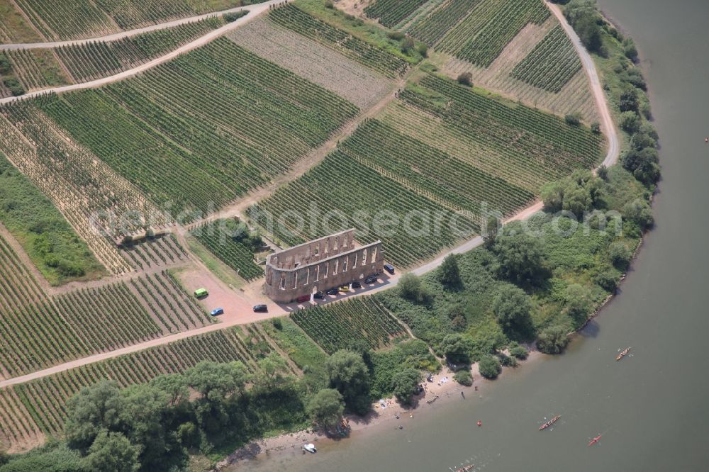 Bremm from the bird's eye view: Ruins of church building abbey Kloster Stuben on Mosel in Bremm in the state Rhineland-Palatinate, Germany