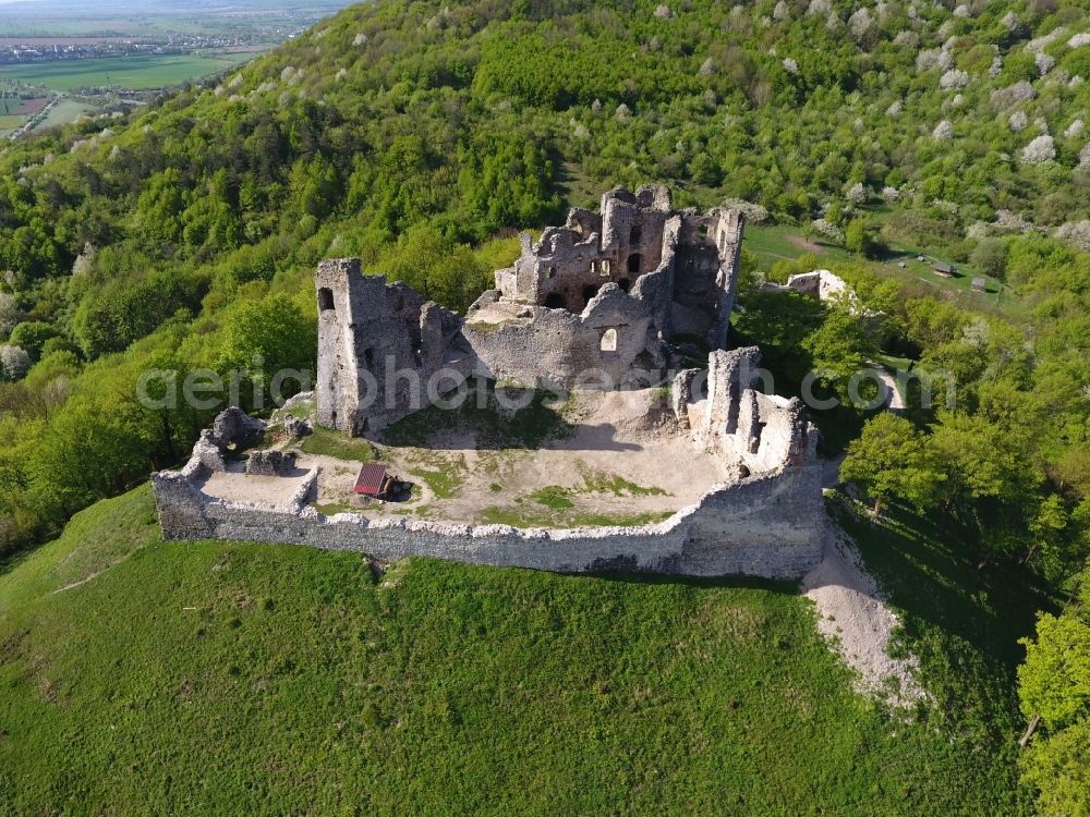 Brekov from above - Ruins and vestiges of the former castle in Brekov in Presovsky kraj, Slovakia